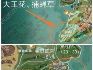 《创造与魔法》游戏中如何制作荷花鱼翅（学习游戏中的烹饪技巧，制作美味荷花鱼翅）