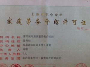 如何获取Dinkum深挖许可证？