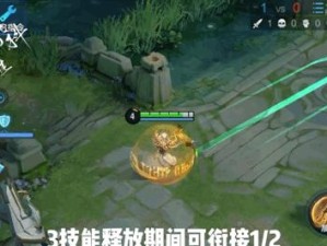 嬴政攻略（掌握关键技巧，迅速提升效率！）