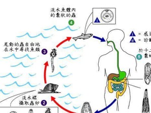 探究以众生游营养不良效果触发机制（从游戏角度分析众生游对玩家的影响）