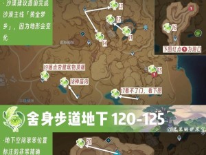 原神小草上培养攻略（全面解析原神中小草上的培养方法，助你打造强大角色）