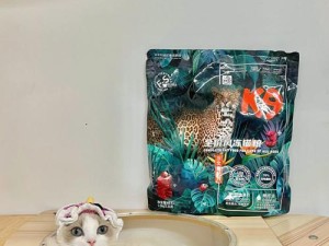 智道还是敏道，哪个更厉害？（末日沙城道士加点选择解析，你该怎么做？）