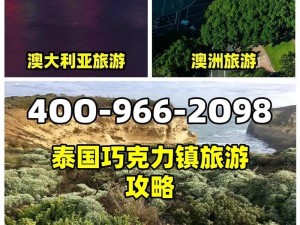 泰国购物攻略游戏（体验泰国购物文化的最佳方式，带您畅游泰国各地的购物乐园）