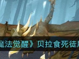 魔法觉醒之哈利波特（打造最强卡组，夺取胜利！）
