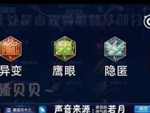 张大仙教你如何正确出装花木兰（花木兰出装攻略，让你玩转战场）