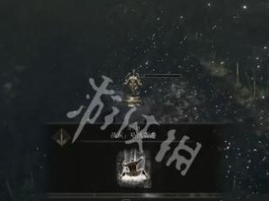 艾尔登法环108强力战灰（探究最强战灰之谜）