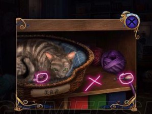 《以密室与猫通关攻略》（详细解析游戏关卡及道具用途）