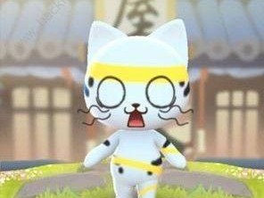 以一起来捉妖专属猫新手入门指南区域链猫玩法攻略（从零开始，轻松掌握猫的养成之路）
