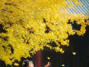初见下攻略，挑战爱情的新起点（一场重逢，一场追寻，一段情缘）