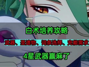 《以苍羽技能顺序选择攻略》（通过合理的技能顺序提升战斗效果，让你在《以苍羽》游戏中无敌!）