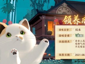 《以猫咪天赋出装手游攻略》（打造最强猫咪角色，征服手游世界！）