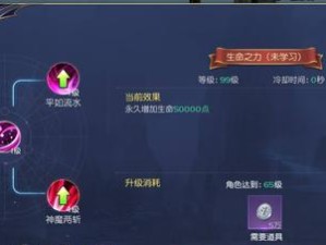 《征服暗黑冰龙王，技能配置攻略大揭秘！》（挑战极限，掌握最强技能搭配，一举击败暗黑冰龙王！）