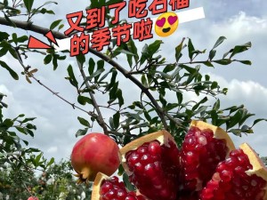 火热礼遇万国觉醒玩家盛宴（升级狂欢送好礼，万国觉醒新品上线）