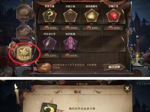 哈利波特魔法觉醒飞龙流双排主流卡组攻略（打造最强卡组，一飞冲天的魔法旅程）