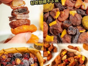 探秘北京话梅攻略游戏的乐趣（揭秘北京话梅攻略游戏的奥秘）