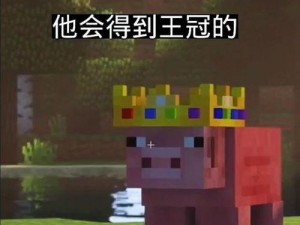 我的世界如何把猪,猪的生成与行为解析