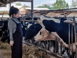 探寻福州奶牛牧场的乐趣（领略农场风光，亲近乡土生活）