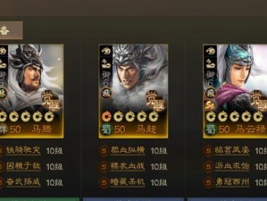 幸运房东小花流通关思路详解（小花流玩法介绍，轻松赚取积分）