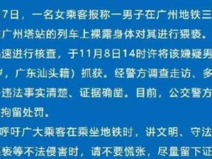 痴汉列车游戏攻略（揭开神秘面纱，玩转痴汉列车游戏的技巧与窍门）