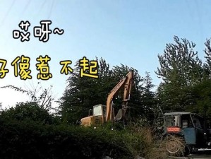 《怪兽猫咪出装最新攻略》（让你的猫咪成为战斗之王！）