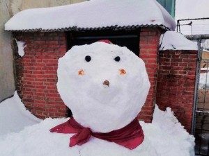 雪人技能攻略（掌握以放学别跑雪人技能，成为雪地王者）