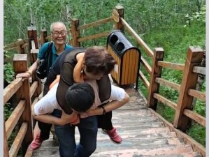老人的旅程游戏攻略（在游戏中陪伴老人感受奇幻世界的快乐与魅力）