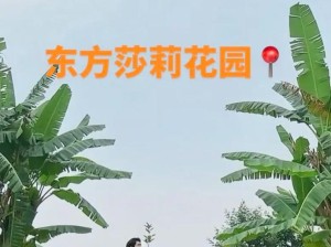 揭秘以莎莉的法则攻略（从穿衣搭配到言谈举止，全面解析以莎莉的法则的成功之道）