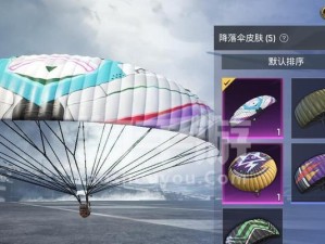 《和平精英蓝莓炮弹军需价格一览》（了解游戏中的装备消费，助你成为更好的战士）