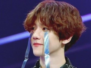 遇见EXO（探索EXO的魅力，追随他们的足迹，与他们相遇的秘籍全揭秘）