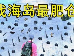 单排海岛打野出装攻略（海岛生存游戏中如何有效选择和搭配打野出装）