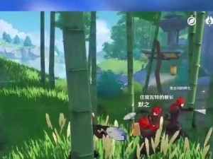 《琴攻略小奇奇，带你征服原神世界》（发现琴的无限潜力，解锁独特技能，成为原神最强音乐使者）