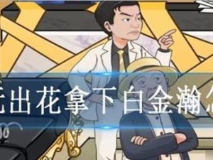 《文字玩出花》游戏泡澡西游通关攻略（以文字为武器，玩转西游世界！）