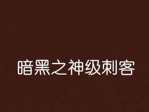 《暗黑天梯刺客技能加点攻略》（全面掌握刺客技能加点策略，提升战斗实力！）