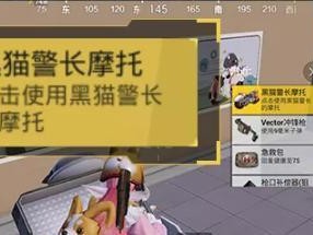 不朽之旅（打造独特个人风格，成就无敌黑猫）