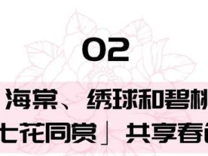 《以心探攻略第十四》（探索未知区域，解锁隐藏任务，突破难关的技巧与策略）