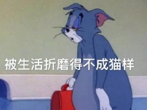 狂怒飞车党基地攻略（探索狂怒飞车党基地，成为极限赛车之王）