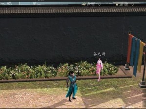 下一站江湖（探讨游戏武功阴系与阳系的优劣）