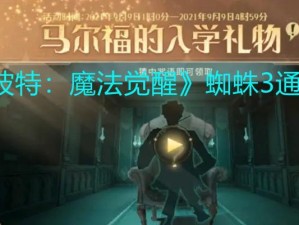 《魔法觉醒出装攻略大全》（揭秘最强魔法师出装策略，让你登顶战场）