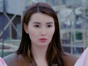 超级学霸攻略（学霸秘笈，成语大全，助你轻松登顶知识巅峰）