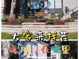 天天萌找茬攻略（成为找茬高手，发现隐藏在图画中的细微差别！）