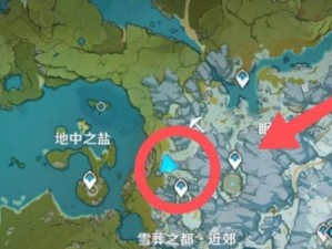 原神雪山鲜花攻略（带你领略原神世界中的美丽花海）