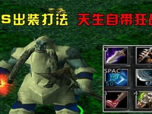 《针对Dots出装的攻略》（优化你的装备选择，提升游戏表现）