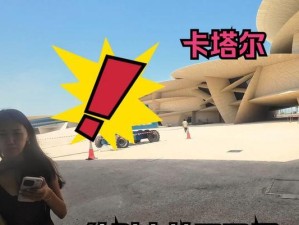 沙漠玫瑰打法攻略（沙漠玫瑰玩法详解，带你征战全场）