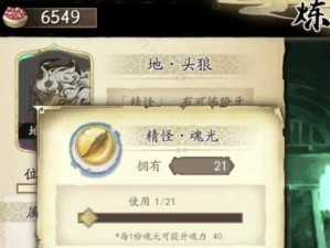 天地劫手游魂石词条搭配攻略（打造最强角色，魂石词条如何选择？）