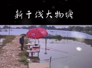 疯狂钓鱼游戏攻略（成为顶级钓手的关键策略与技术指南）