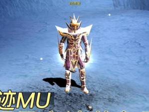 《奇迹MU法师技能奥义攻略》（探索法师技能的奥秘，提升实力的最佳指南）