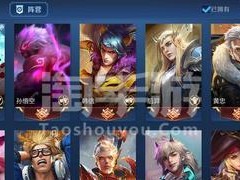 职业赛场老虎铭文出装攻略（打造无懈可击的职业赛场老虎，出装铭文全解析）